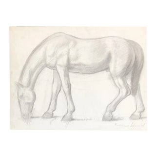 Frédéric Schmied, Cheval, Pencil on Paper For Sale