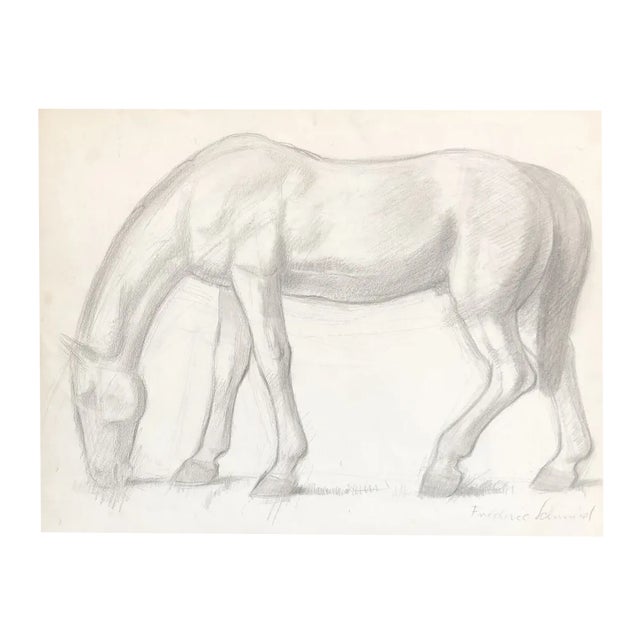 Frédéric Schmied, Cheval, Pencil on Paper For Sale