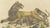 Karl Joseph Brodtmann, Lioness with Cubs, 1816, Lithograph For Sale - Image 4 of 10