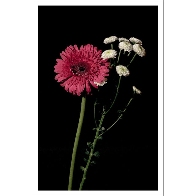 Printmaking Materials 2021 "Pink and White Delicate Flowers" Baroque Style Giclée Print by Kind of Cyan For Sale - Image 7 of 7