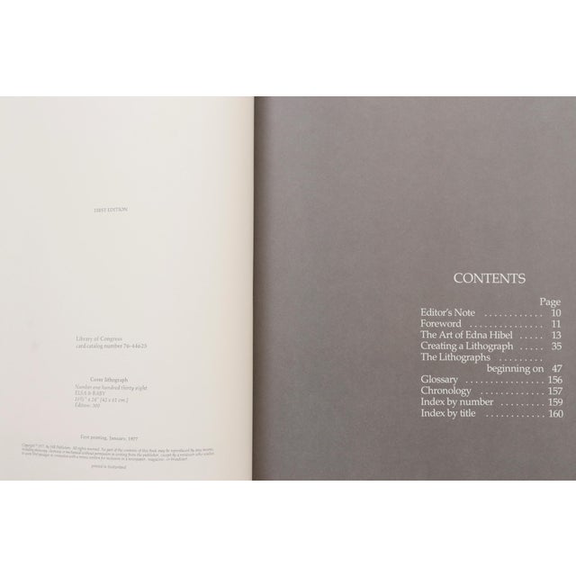 American Hibel Lithographs by Theodore Plotkin For Sale - Image 3 of 9