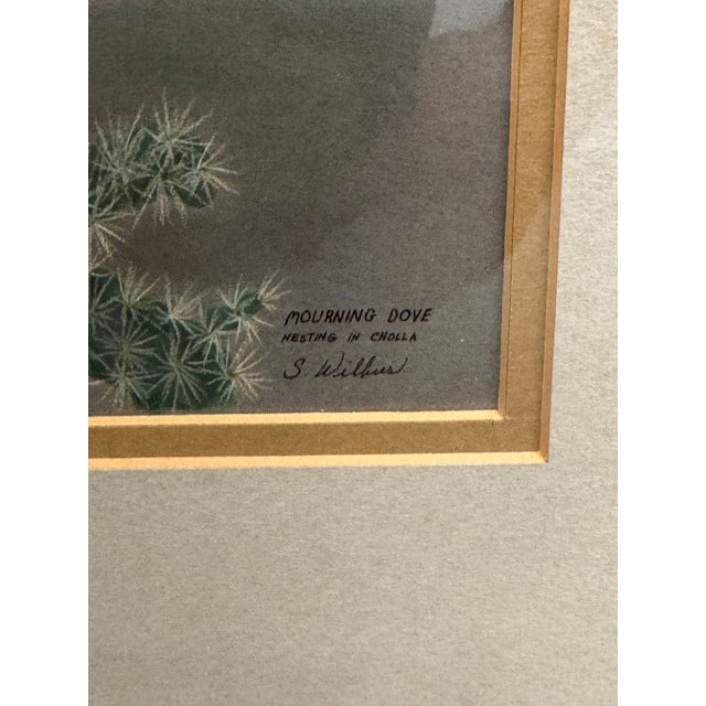 Paper Signed S. Wicklund “Mourning Dove Nesting in Cholla” Framed Original Bird Illustration For Sale - Image 7 of 12