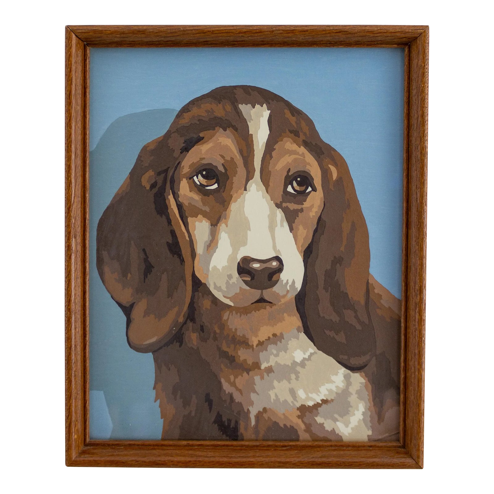 Beagle or Basset Hound Puppy Portrait | Paint by Number | Chairish