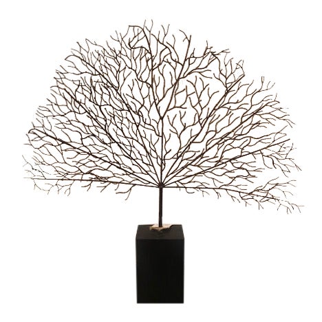 Black Metal Coral Decor Chairish