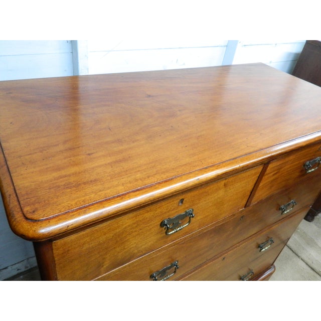Victorian Chest of Drawers in Mahogany For Sale - Image 11 of 18