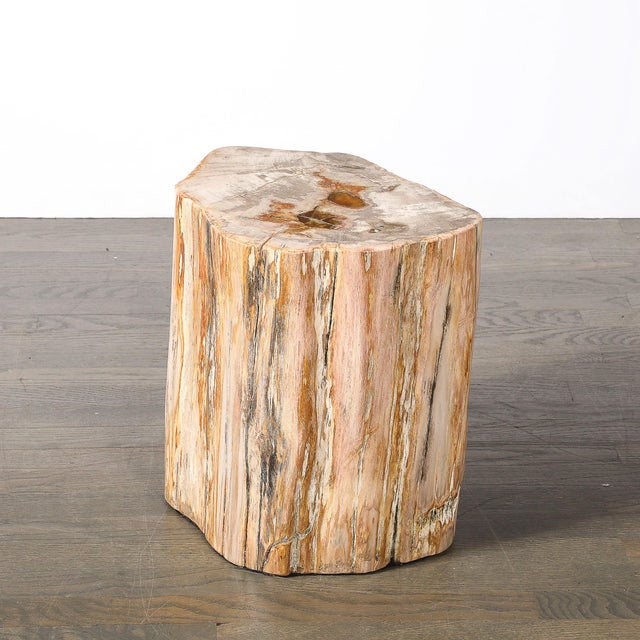 Polished Petrified Wood Side Table/Stool W/ Agate Inclusions & Natural Graining For Sale In New York - Image 6 of 10