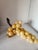 Italian Extra Large Yellow Alabaster Grapes For Sale - Image 3 of 12