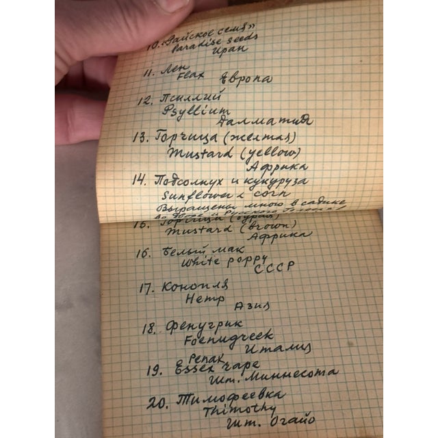 Vintage Lucite Scientific Display Case Seed Collection + Specimen Tray Notes For Sale - Image 15 of 17