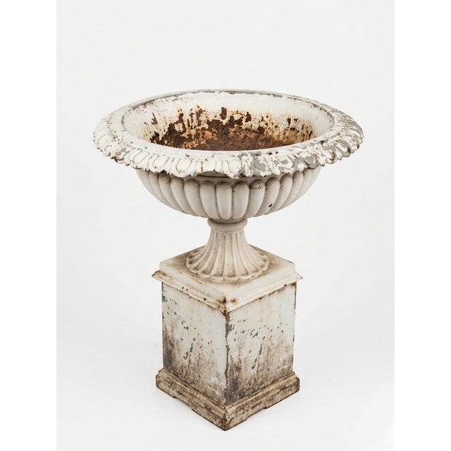 This striking pair of Victorian cast iron garden urns offers a timeless Neoclassical aesthetic, perfect for flanking an...
