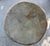 1950s Monumental Indian Drum in Great Condition For Sale - Image 4 of 4