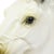 Large Classical Greek Style Parthenon Horse Bust in Plaster For Sale - Image 13 of 17