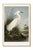 This is a natural history inspired egret study featuring an elegant egret standing among marsh grasses with soft coastal...