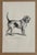 Up for sale is this charming antique dog print from a veterinary guide published in the 1890s and illustrating breed...