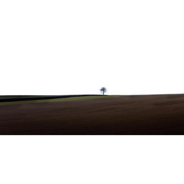 Laurent Campus, Loneliness, 2011, Archival Pigment Print For Sale - Image 4 of 5