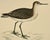 Antique Hand Colored Bird Print From England Showcasing a Wood Sandpiper - Circa 1880 For Sale - Image 9 of 11