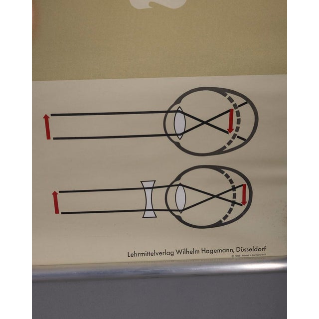 Vintage School Poster the Eye and Its Functions from Lehrmittelverlag Wilhelm Hagemann, 1970s For Sale - Image 13 of 15