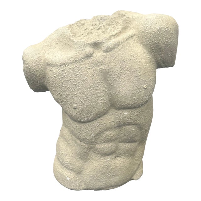 Plaster Torso of a Man For Sale