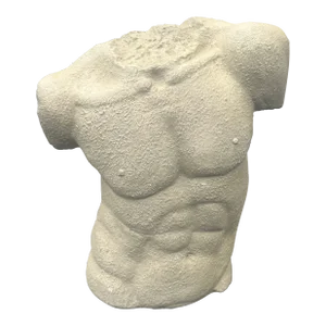 Plaster Torso of a Man