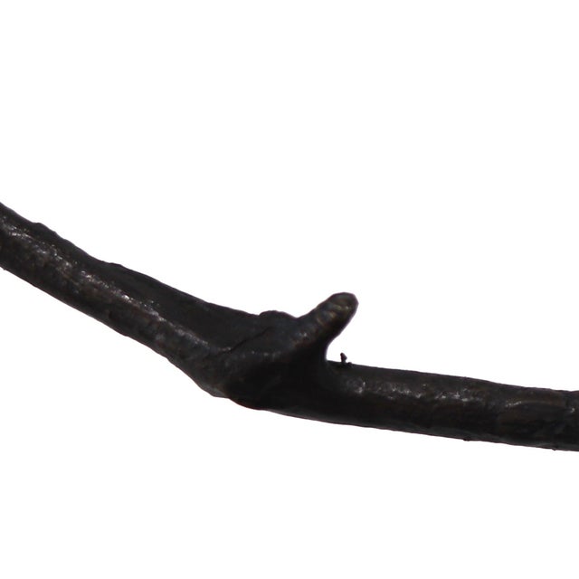 Graft Eh9 - Original Contemporary Figurative Bronze Wall Sculpture by Jennyfer Stratman For Sale - Image 4 of 9
