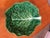 Ceramic Vintage Cabbage Leaf Bowl, Made in Portugal For Sale - Image 7 of 7