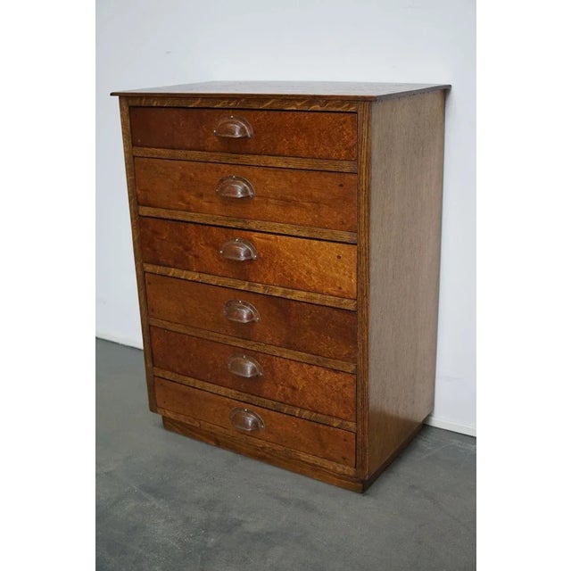 German Oak Apothecary Cabinet, Mid-20th Century For Sale - Image 12 of 17
