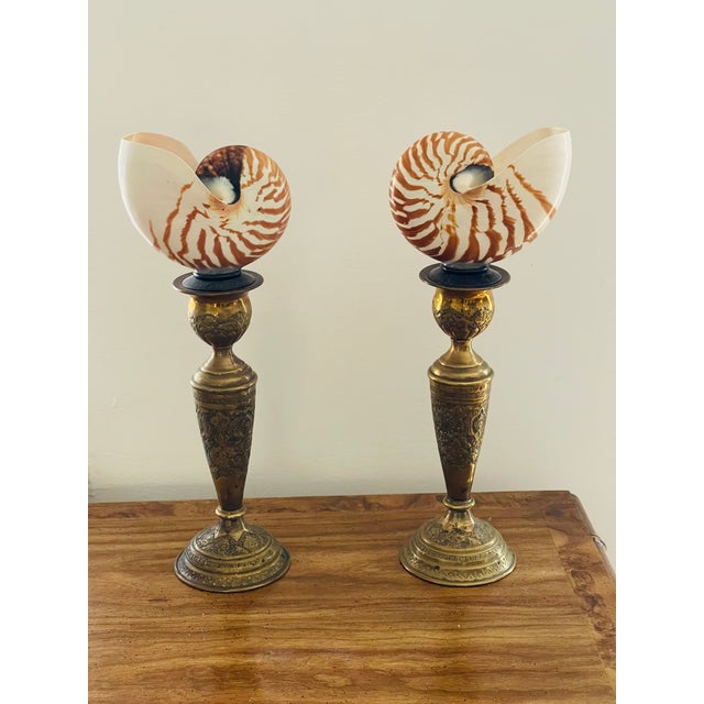 1940s Antque Pair Nautilus Sea Shells on 19 Th C Brass Stands For Sale - Image 5 of 7