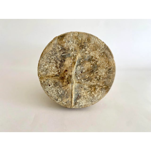 Large Rustic Wood Vessel Vase For Sale In Los Angeles - Image 6 of 7