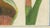 Early 19th Century After Peter Henderson, Dragon Arum, Poisonous Plant, 1802, Engraving For Sale - Image 5 of 10