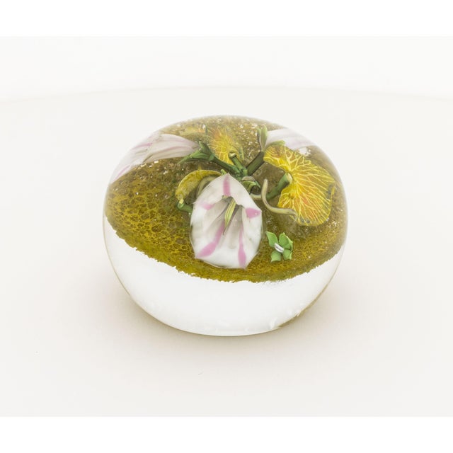 2000 - 2009 Paul Stankard Botanical Glass Paperweight, 2003 For Sale - Image 5 of 12