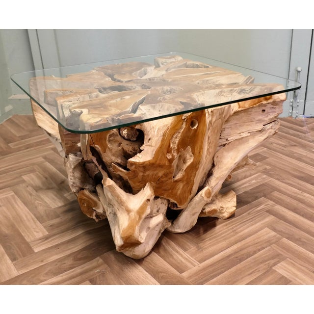 Vintage Yewwood Root Tree Coffee Table with Glass Top, 1980 For Sale - Image 4 of 7