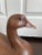 Vintage Life Size Composite Resin Goose Decoy For Sale - Image 9 of 9