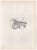 Georges Braque (1885-1954) Flying Birds (front) and Bird (back) Two Original Lithographs Year: 1955 Printer: Mourlot...