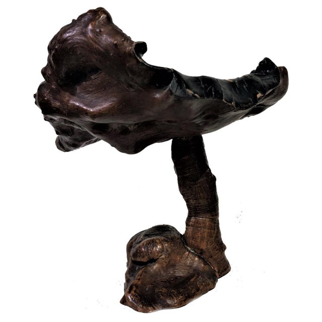 Japanese Meiji Period Carved Root Wood Serving Tray, ca. 1868-1912 For Sale - Image 10 of 12