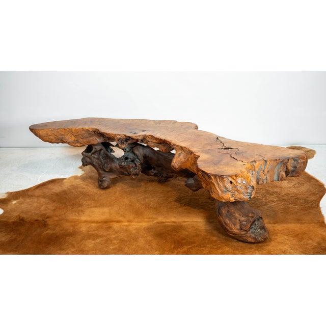 Vintage American Primitive Burlwood Live Edge Coffee Table For Sale - Image 15 of 18