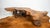 Vintage American Primitive Burlwood Live Edge Coffee Table For Sale - Image 15 of 18