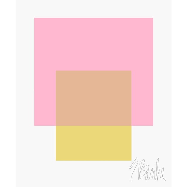 Paper The Interaction of Light Pink and Celery Green Fine Art Print 40" X 50" by Liz Roache For Sale - Image 7 of 7