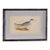 Antique Hand Colored Bird Engraving (C. 1865) | in Contemporary Black Bamboo Frame (Swift Tern) For Sale