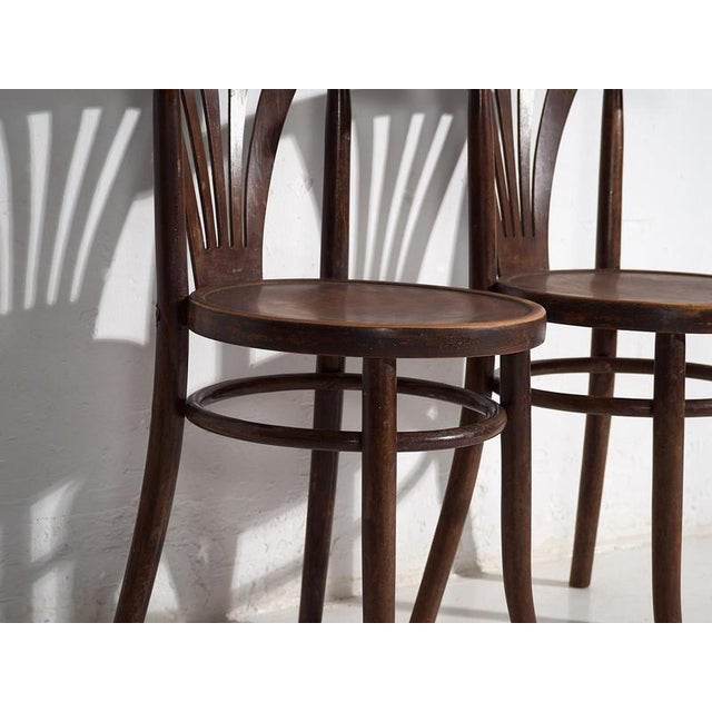 Chairs with Armrests from Thonet, 1920s, Set of 2 For Sale - Image 4 of 11