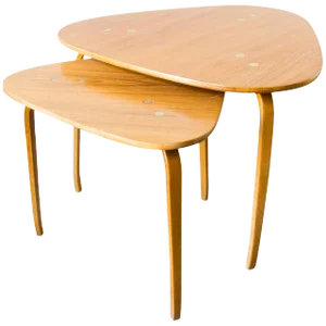 Yngve Ekström for Dux Nesting Tables - a Pair