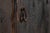 19th Century English Painted Pine Dresser Base For Sale - Image 12 of 18