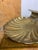Mid 20th Century Large Vintage Brass Scallop Shell Centerpiece Bowl For Sale - Image 5 of 7