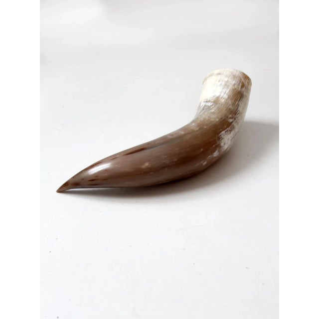 Vintage Polished Horn For Sale - Image 4 of 12