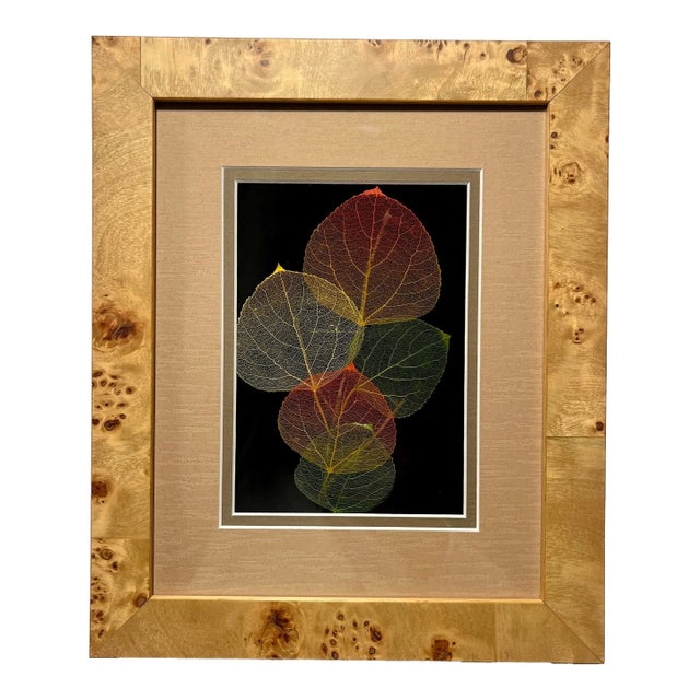Vintage Booker Morey Leaf Lines, Aspen Leaves in Shadow Box, Signed and Numbered For Sale