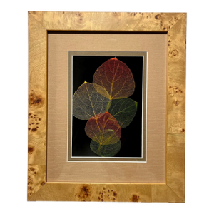 Vintage Booker Morey Leaf Lines, Aspen Leaves in Shadow Box, Signed and Numbered