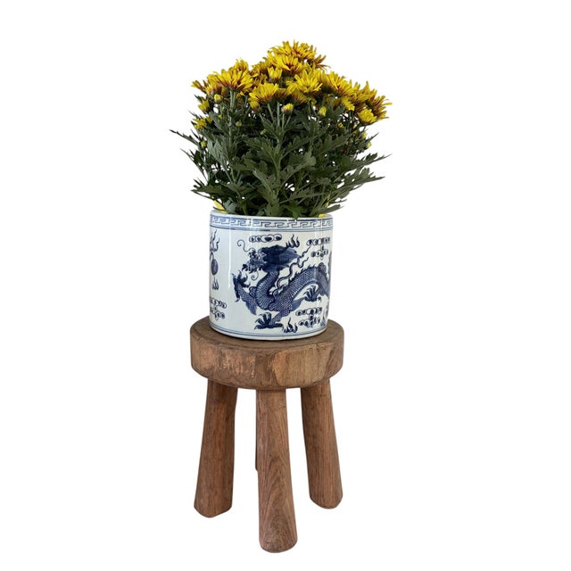 African Vintage African Carved Wood Milk Stool Hehe Gogo People Tanzania 11.5" H For Sale - Image 3 of 9