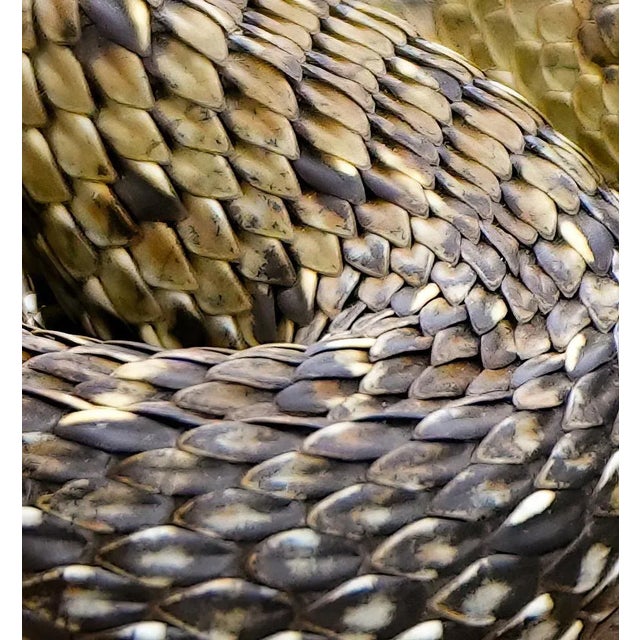 Snake 2 - Signed limited edition archival pigment print, 2023 - Edition of 10 Close-up / Detail on the scales of a snake....