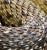 Snake 2 - Signed limited edition archival pigment print, 2023 - Edition of 10 Close-up / Detail on the scales of a snake....
