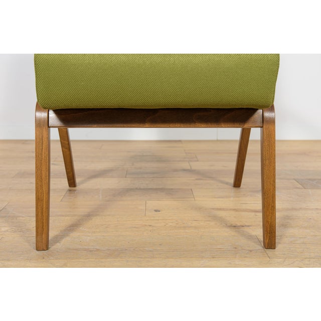 Armchair by Selman Selmanagic for Veb Deutsche Werkstätten Hellerau, Germany, 1950s For Sale - Image 15 of 16