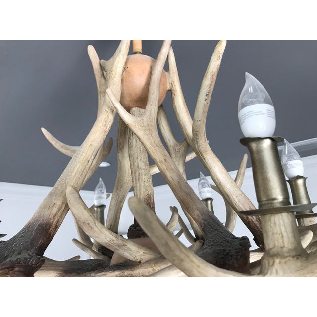 Restoration Hardware Adirondack Antler Chandelier Chairish