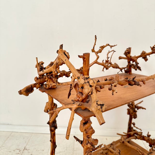 Mid-Century Bar Cart in Brown Burl, Plywood and Root Wood, 1960s For Sale - Image 6 of 14